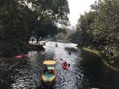 -晓港公园