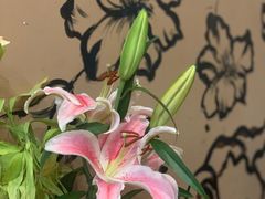 -新华阿喜烧烤(嘉泰雅园店)