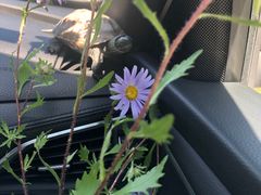 -玉渡山风景区-售票处