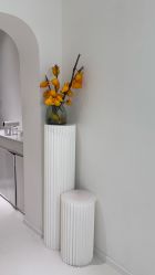 -安那般那皮肤年轻化ANAPANA