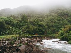 -白云源风景区