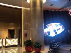 -南京禄口机场雅高铂尔曼大酒店