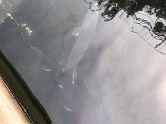 -天源渔港农庄