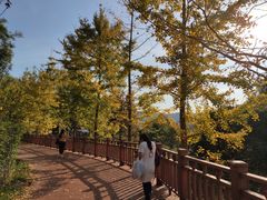 -大余丫山旅游度假区