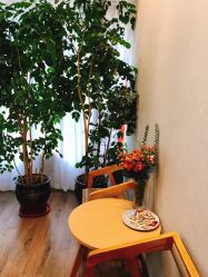 点击看大图 -德媛医疗美容