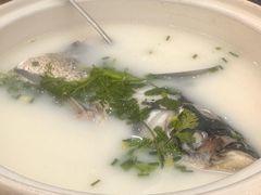 -紫藤园·天目湖大鱼头(南山竹海店)