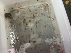 -上海沪太花鸟奇石市场·停车场