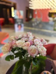 点击看大图 -花隐·美芙炫海菲秀皮肤管理中心