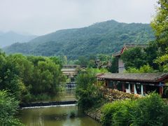 -西安大兴汤院遗址公园