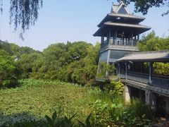 -金鸡湖桃花岛