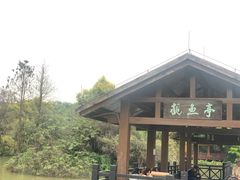 -海珠湖公园