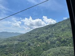 -呀诺达热带雨林