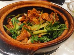 啫啫五花肉-煲煲好(朝阳门店)