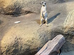 -苏州海洋馆