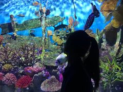-暹罗海洋世界