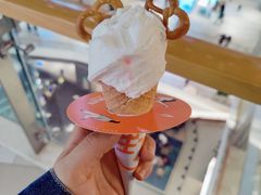 -野人先生现做冰淇淋(北京环宇荟店)