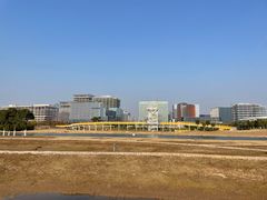 -春花秋色城市公园