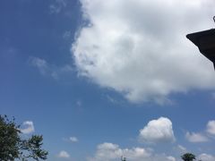 -广州市帽峰山景区
