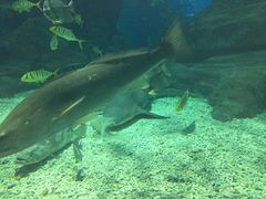 -福州罗源湾海洋世界旅游区