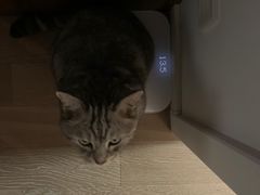 -美联众合动物医院(·中兽医·疑难杂症·严家桥分院)