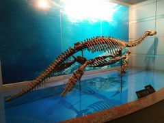 -自贡恐龙博物馆