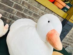 -三忘湖 SWANSEEN(柳荫公园店)