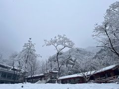 -妙峰山风景名胜区