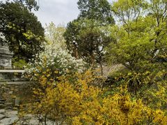 -大觉寺-停车场