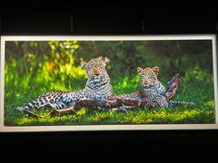 -罗红摄影艺术馆