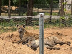 -秦皇岛野生动物园