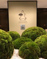 -广州文华东方酒店·水疗中心