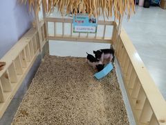 -金铂广场(龙归店)