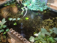 -邈墨茶馆(大兜路1号店)