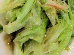 罗马生菜-帕米尔食府(白云观店)