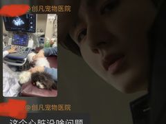 -创凡宠物医院·骨专科  猫科中心(西乡分院)