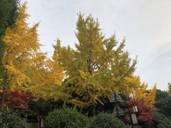 -岳麓山风景名胜区