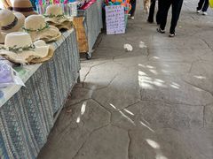 -西双版纳傣族园