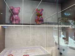 -翊宠yipet猫狗购宠庄园犬舍•猫舍