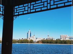 -莲花池公园
