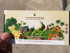-呀路古热带植物园