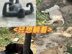 -石家庄市动物园