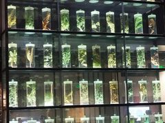 -广东中医药博物馆