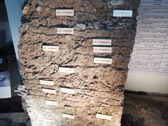 -南越王博物院(王宫展区)