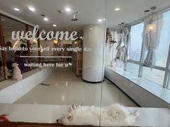 -共舞时光猫咖·狗咖(新街口店)