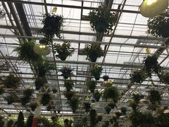 -天宫南铂玫瑰园酒店