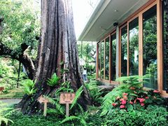 -Chom Cafe and Restaurant