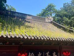 -韬光茶庵