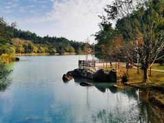 -广州白江湖森林公园