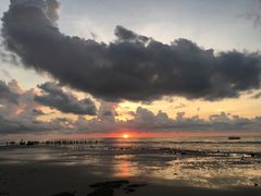 -贝壳沙滩