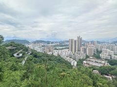-福道